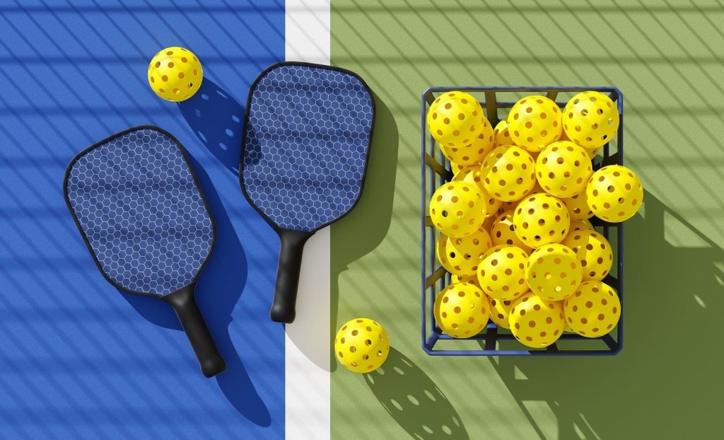 Community Center Pickleball